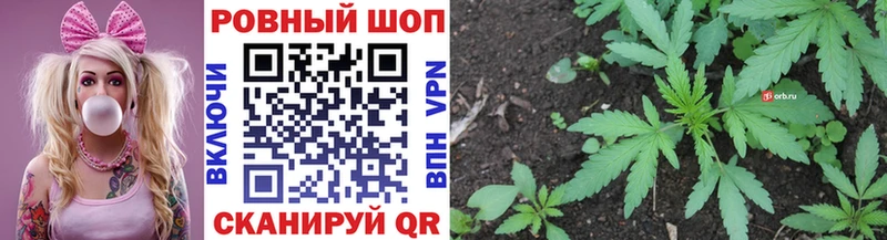 Купить наркотик Сланцы Марихуана A PVP ГАШ Мефедрон