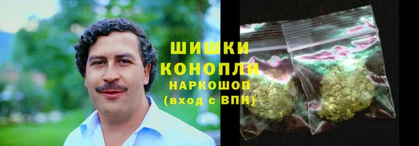 ALPHA PVP Рославль