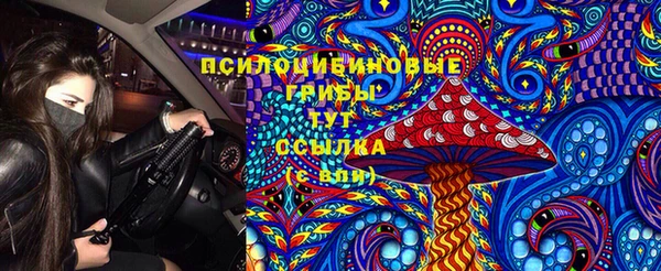ALPHA PVP Рославль