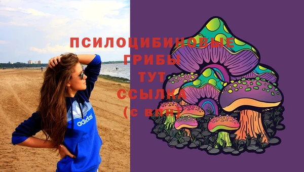 кокс Белокуриха
