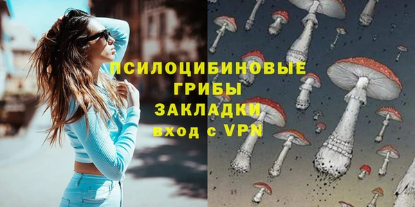 кокс Белокуриха