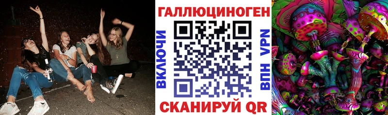 купить  цена  Сланцы  KRAKEN   Галлюциногенные грибы мухоморы 