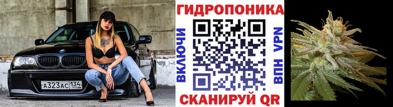 где продают Сланцы Марихуана THC 21%